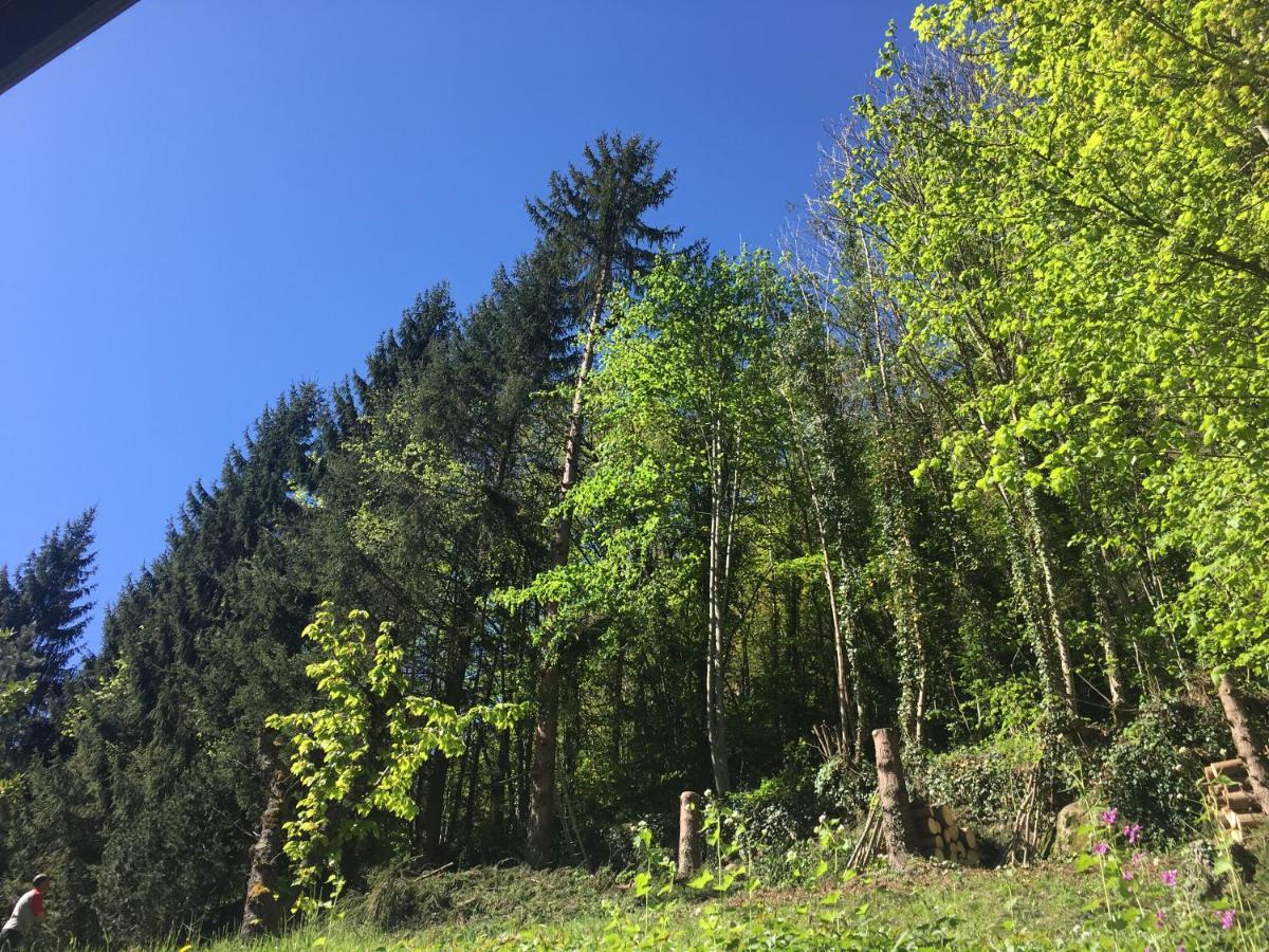 Du Parc Ax * Ax-les-Thermes