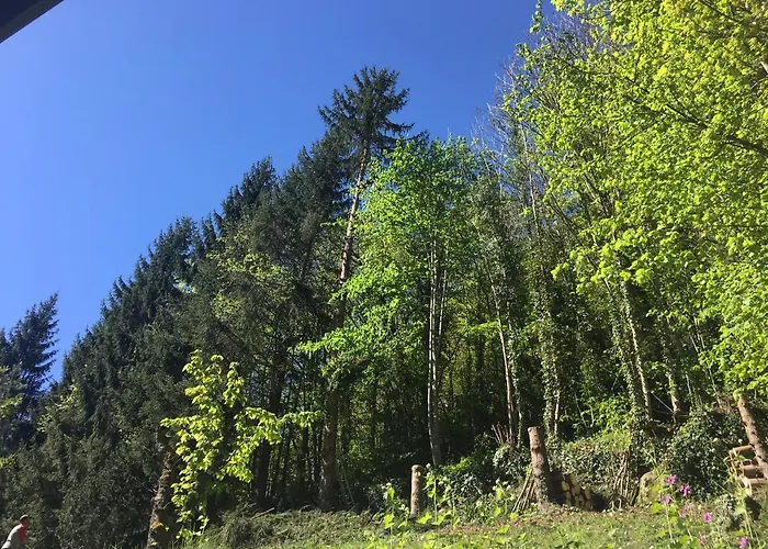 Chalet Du Parc Ax